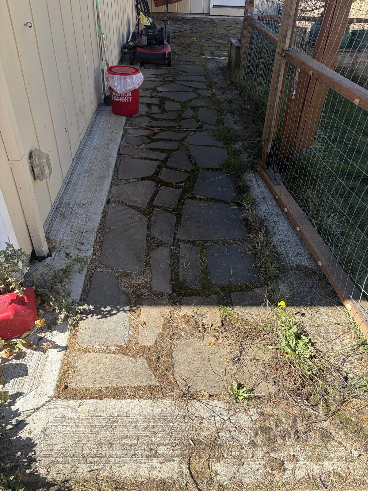 Flagstone walkway before pressure washing